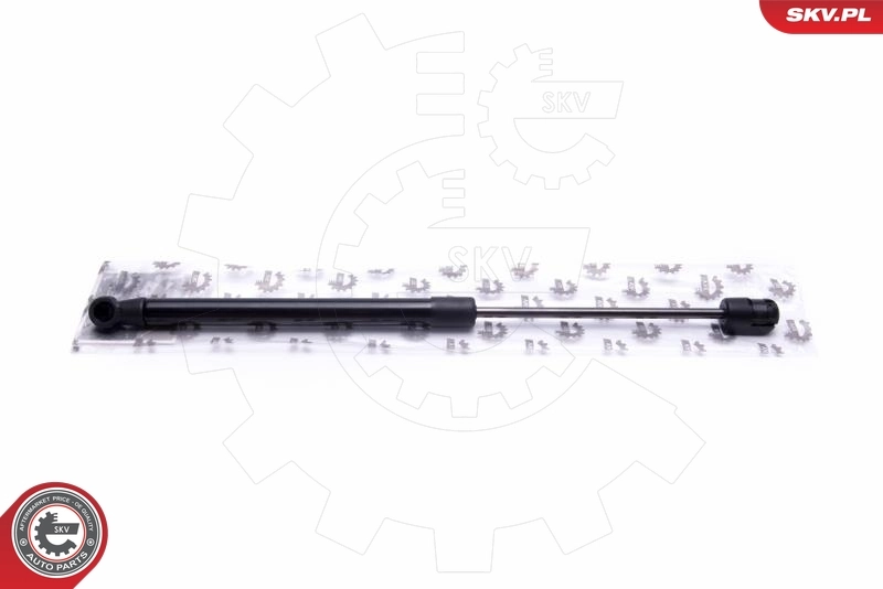Gas Spring, bonnet